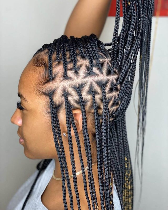 21 Triangle Braids Hairstyle Ideas For 2024 – Braids Hairstyles for Kids