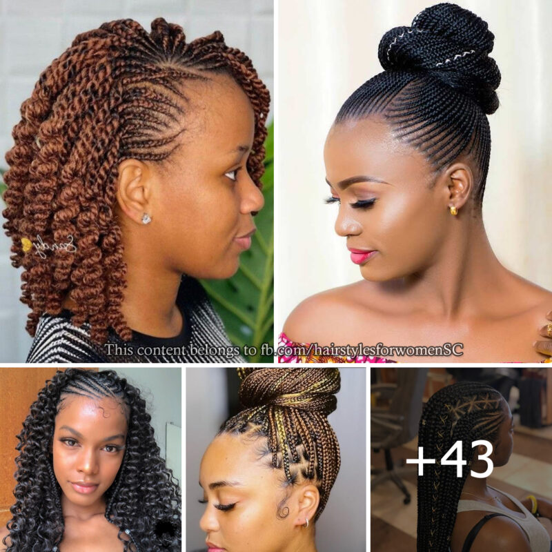Elevate Your Look: The Art of Crafting Stunning Hairstyles