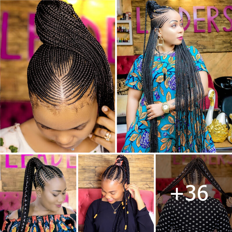 2024 Most Common Braid Hairstyles: Trendy Hairstyles For Ladies