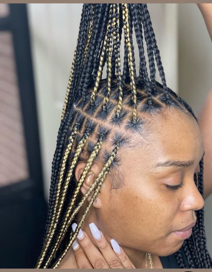 Fascinating Box Braids Hairstyles For Stylish Ladies.