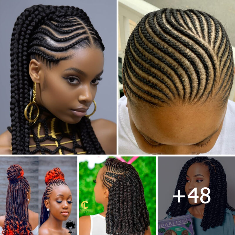 48 PHOTOS: Flawless Braided Hairstyles For Ladies