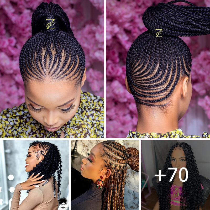 70 PHOTOS: Amazing Braided Hairstyles For Ladies