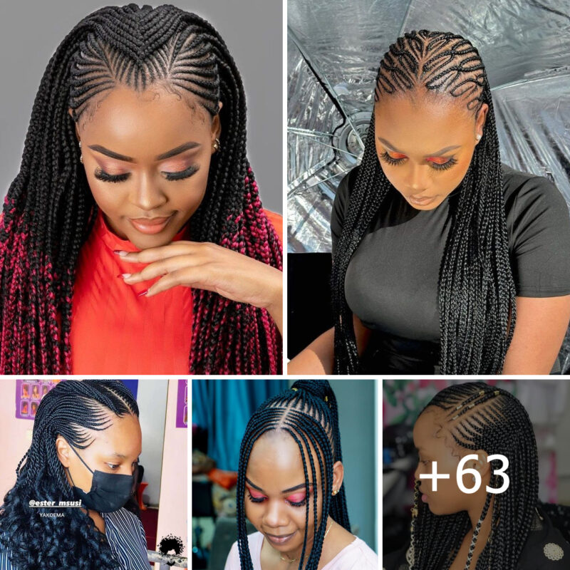 Chic and Stylish Black Braided Hairstyles to Flaunt