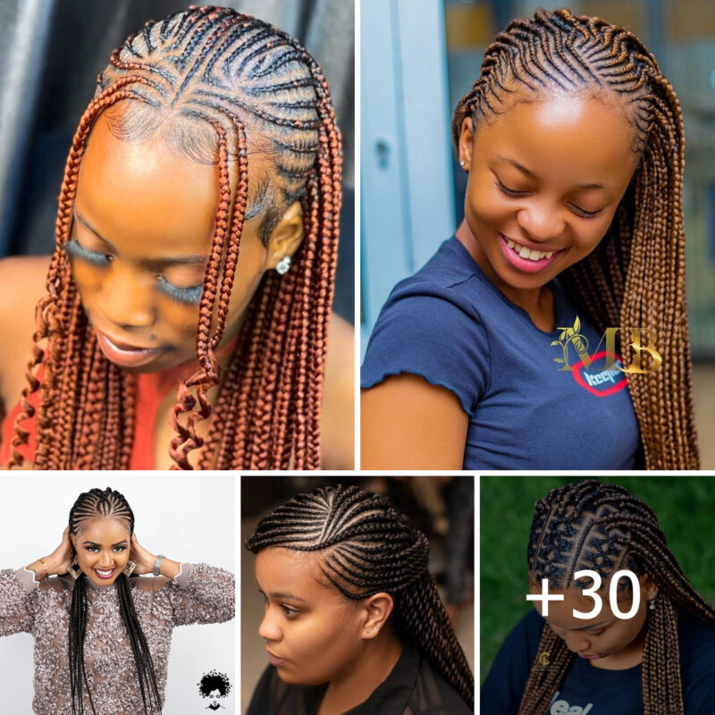 30 PHOTOS: Trendy Braided Hairstyles You Must See