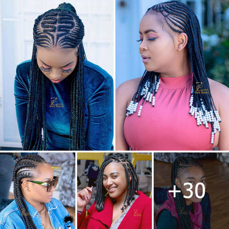 New Braids Hairstyles 2025 for Ladies