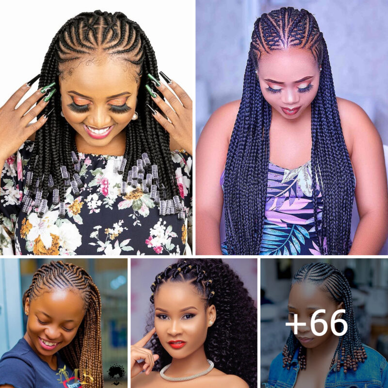 66 Braided Hairstyles Perfect for 2025