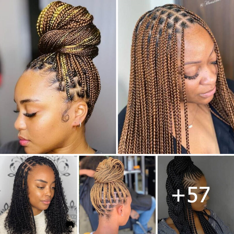 Knotless Braids Hairstyles 2024