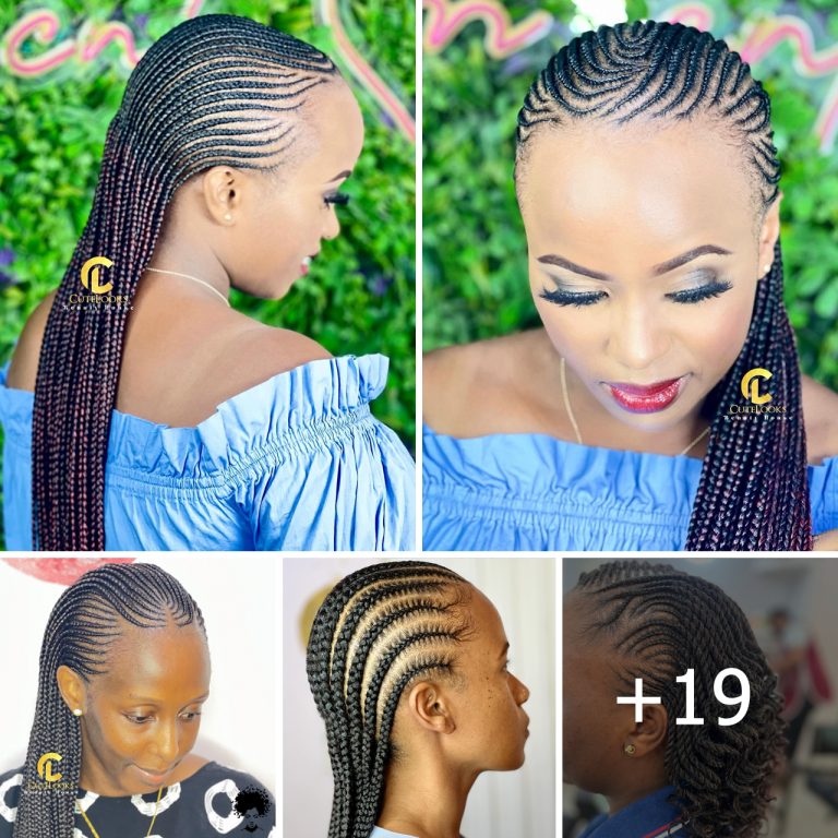 Stylish Braided Hairstyles 2025