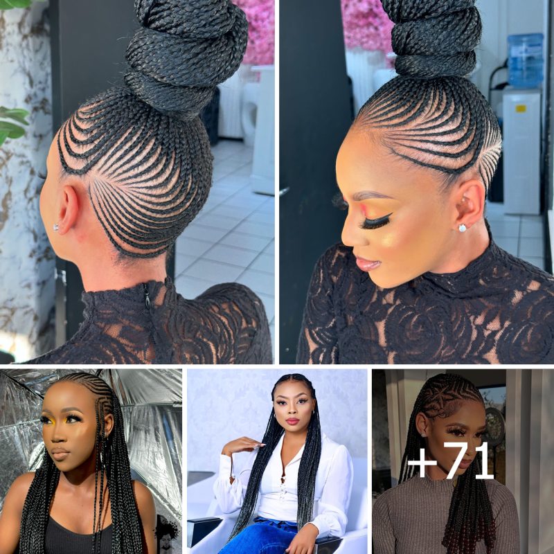 71 Stylish Braided Hairstyles You’ll Love with Images for Easy Selection