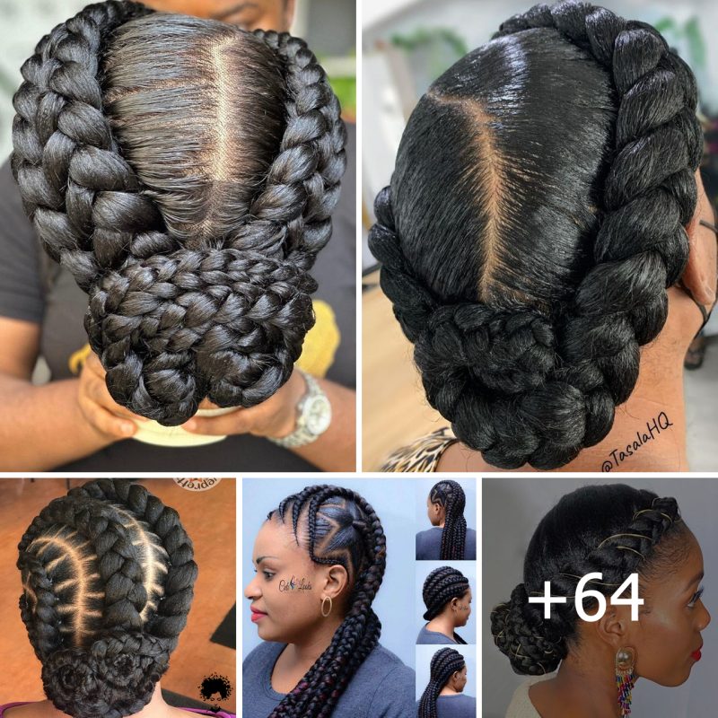 STATEMENT MAKING BRAIDS HAIRSTYLES YOU SHOULD SEE