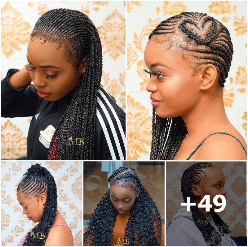 Fabulous and Stunning Braided Hairstyles for Stylish Ladies