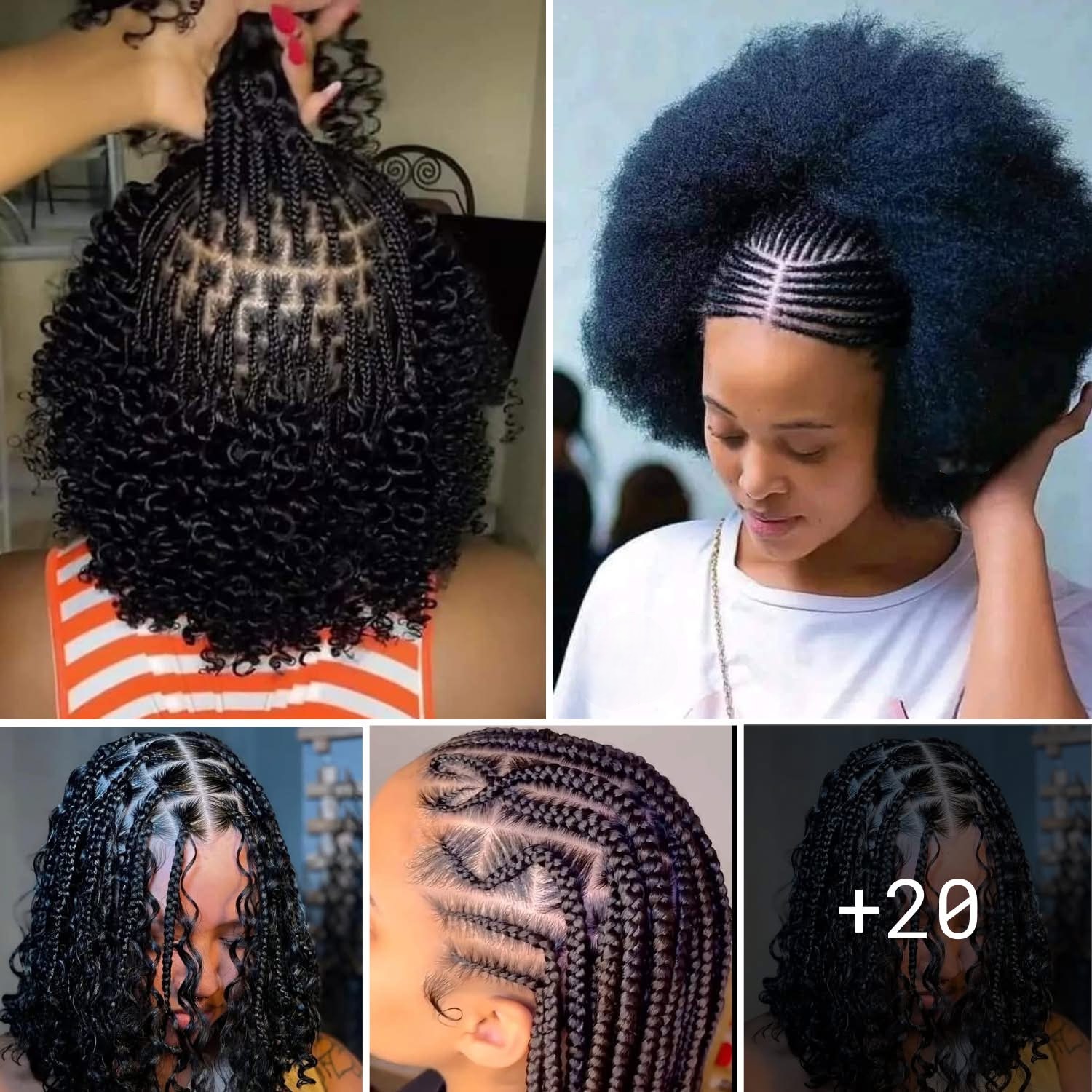 20 PHOTOS:  Professional hair braiding ideas for ladies ‎