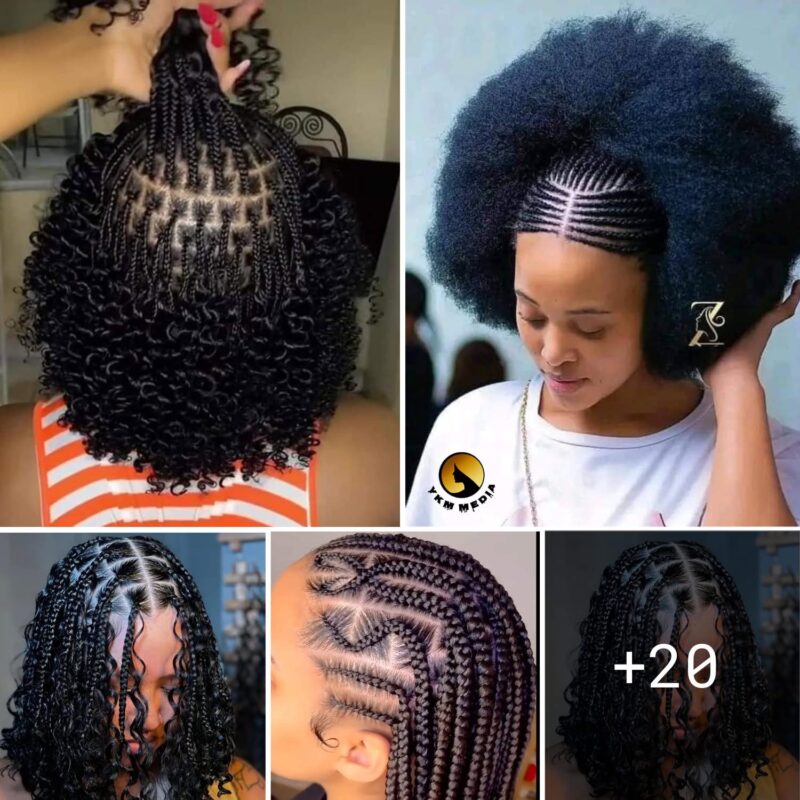 20 PHOTOS:  Professional hair braiding ideas for ladies 