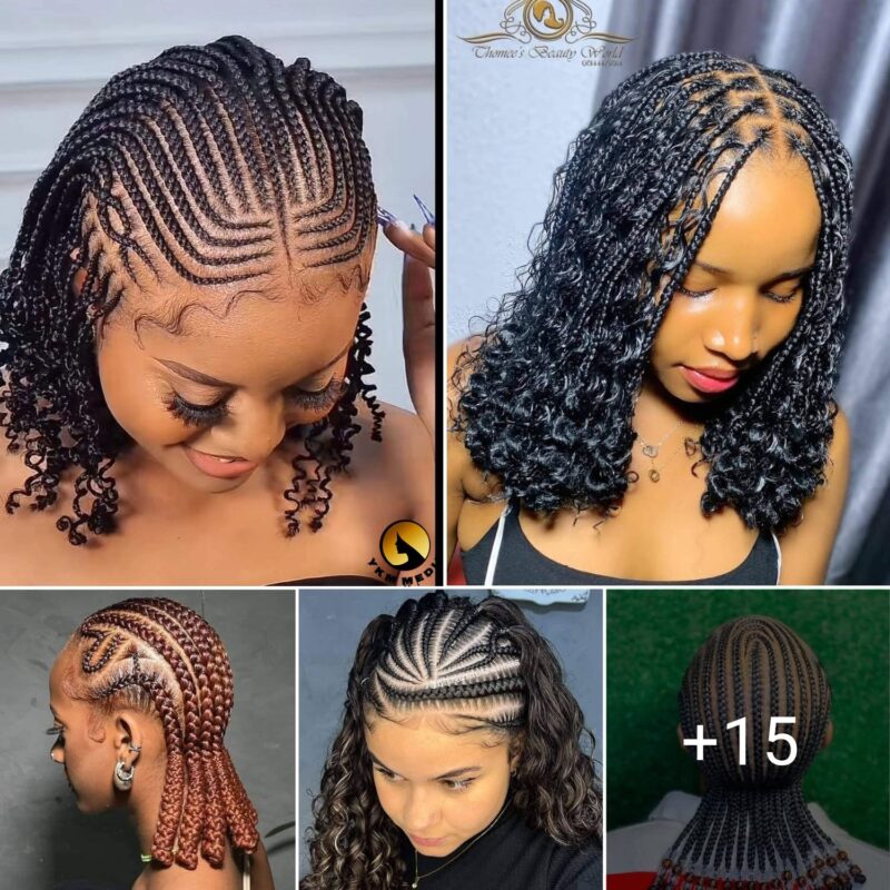 33 PHOTOS: Professional African braid stylists