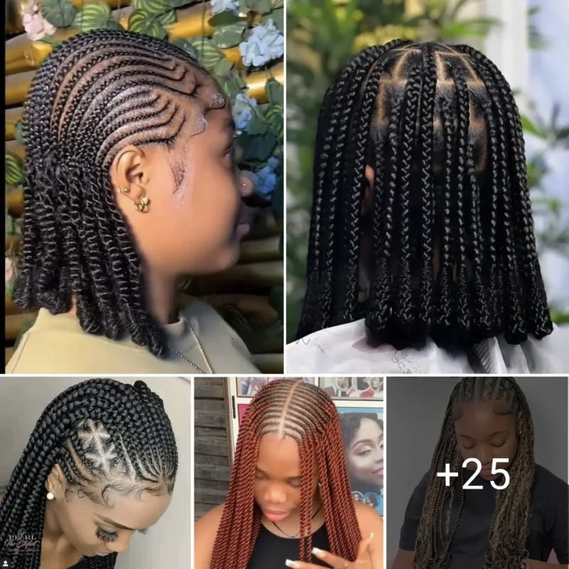 25 PHOTOS: Professional African braids for women