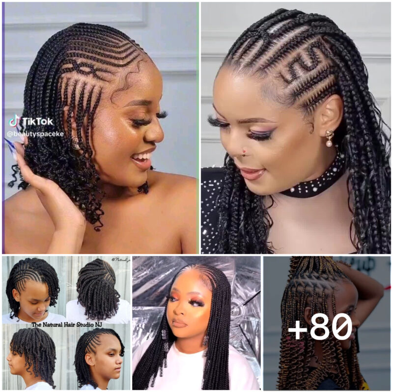 +80 PHOTOS: Luxury Braided Hairstyles – Premium Cornrow Hairstyles
