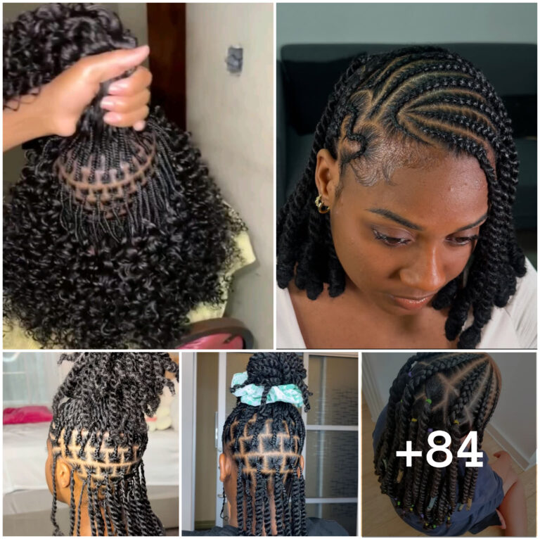 Natural Twist Braids Hairstyles