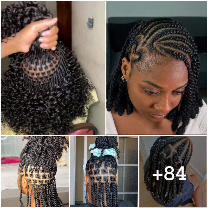 Natural Twist Braids Hairstyles