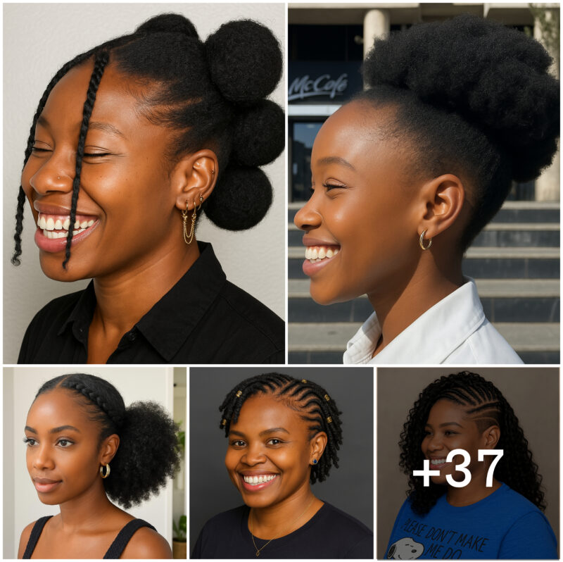 37 PHOTOS:  Afro Hairstyles Ideas & Natural Hair Styles