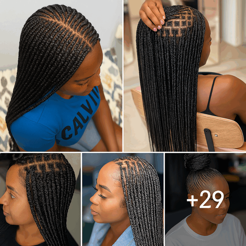 29 PHOTOS: Knotless braids styles + Box braids hairstyles ‎
