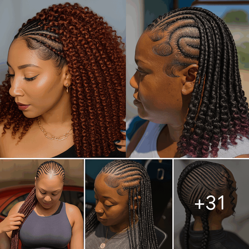 31 PHOTOS: Premium braided hairstyles with highlights ‎