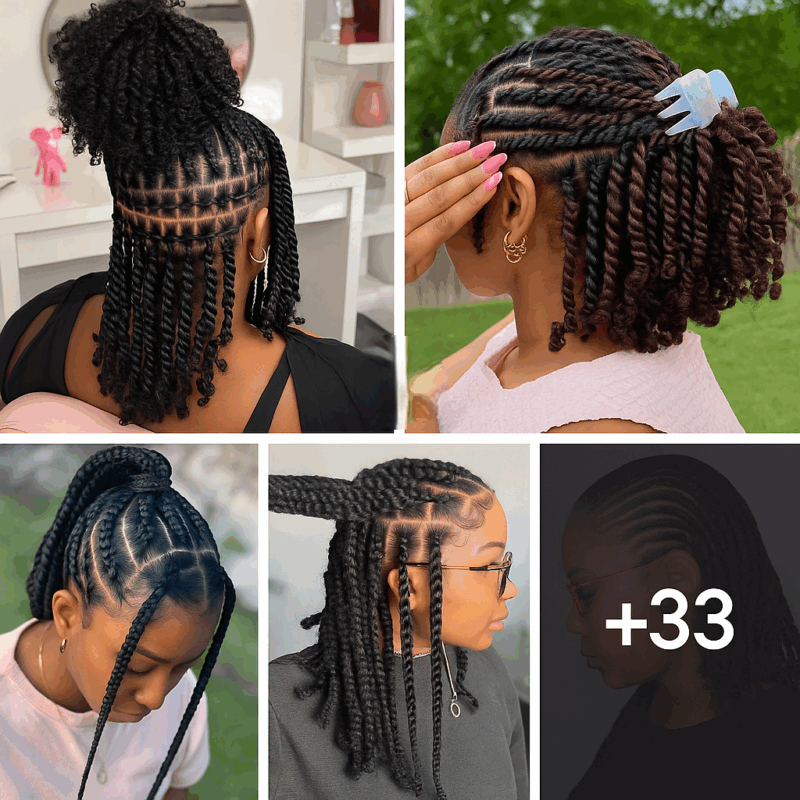 45 PHOTOS: Neat Braided Hairstyles – Premium Hairstyles ‎