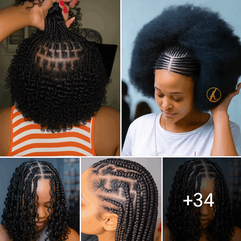34 PHOTOS:  Professional hair braiding ideas for ladies ‎