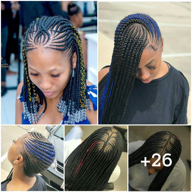 26 PHOTOS: Premium Braided Hairstyles With Highlights