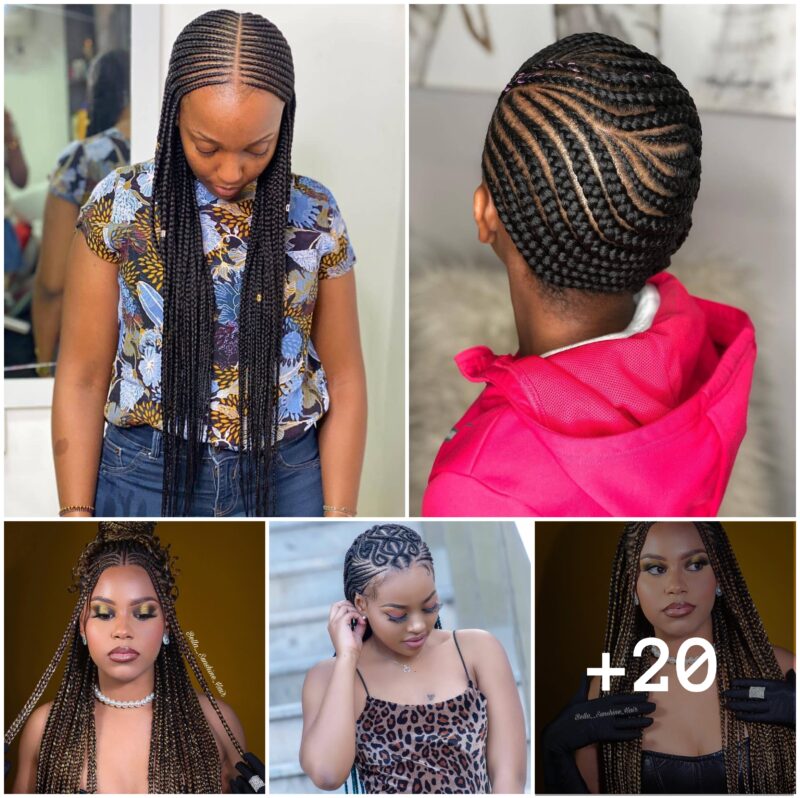 20 PHOTOS: Elegant Braids Hairstyles For Ladies